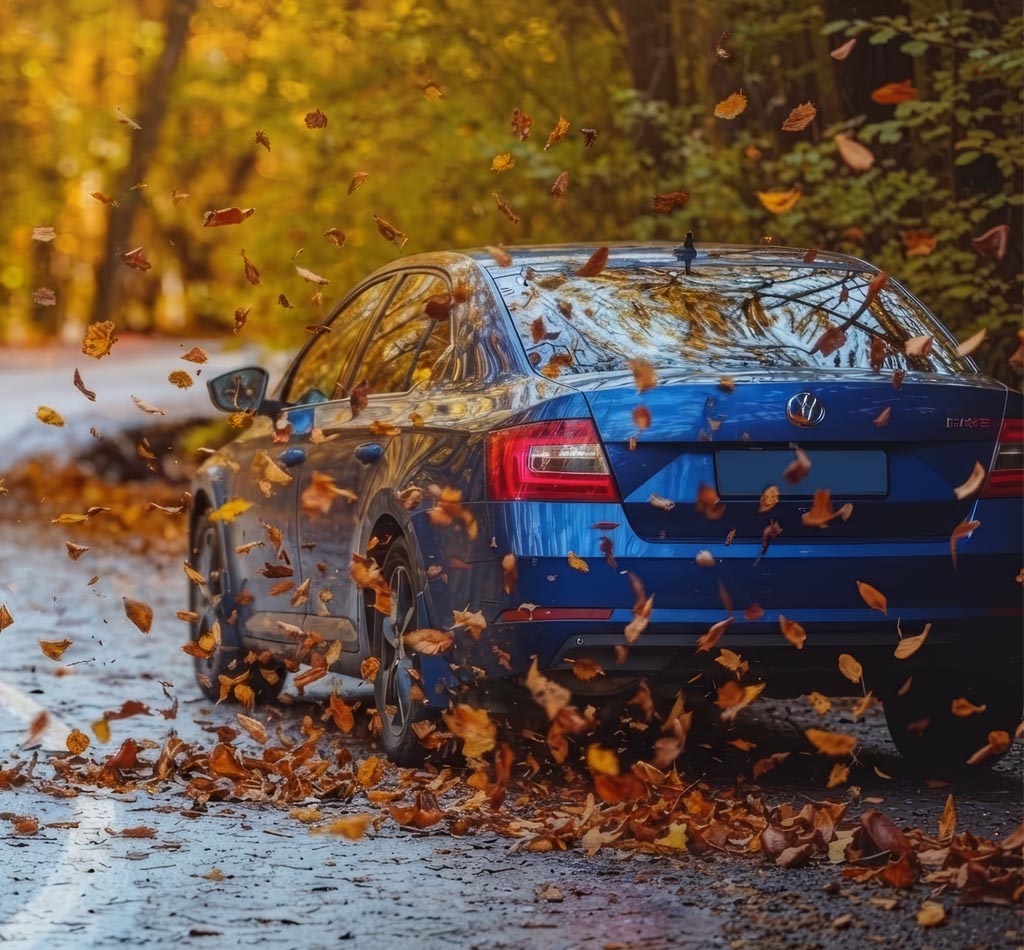 Auto Loans